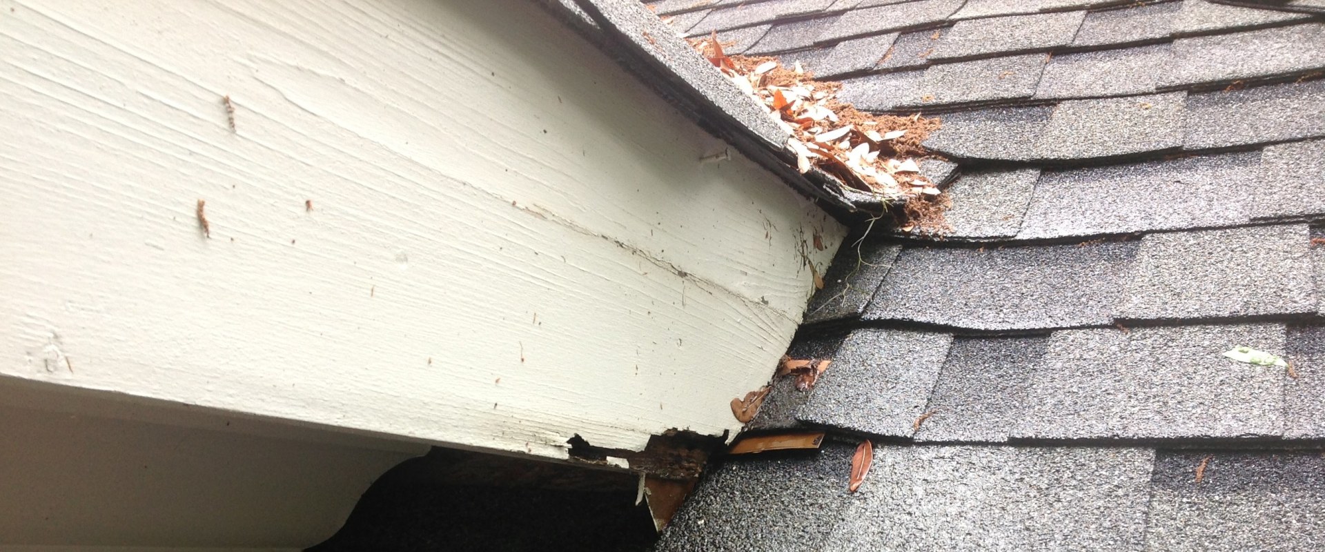 Repairing Roof Damage: DIY Vs. Professional