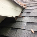 Repairing Roof Damage: DIY Vs. Professional