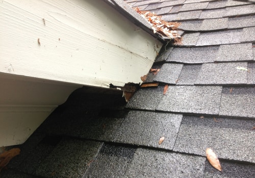 Repairing Roof Damage: DIY Vs. Professional